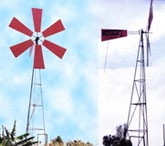 MolinoFeyAlegria2