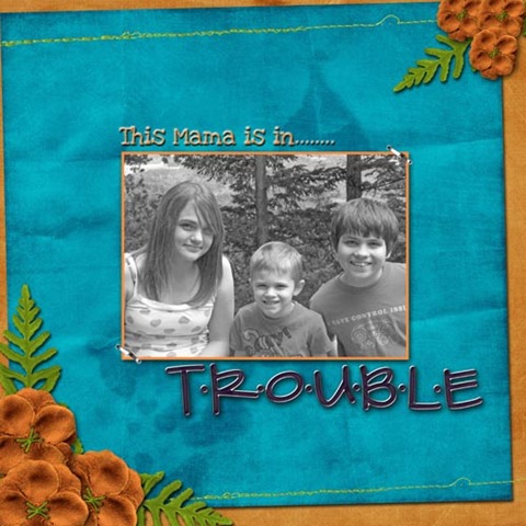 [troubleS[3].jpg]