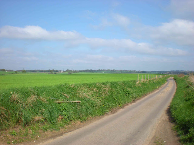 Thankfully did not meet any cars along this narrow road. The M25 is just out of sight on the left.