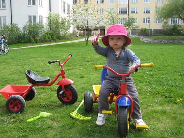 [IMG_26253.jpg]