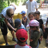 Volunteer in Israel