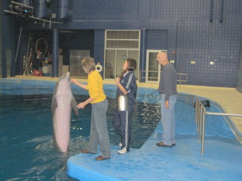 Alan's Zoo