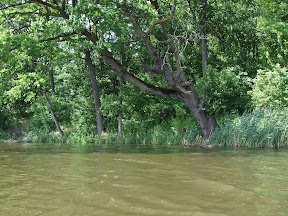 DSCF2835.JPG
