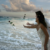 Weddings-1.JPG