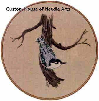 nuthatch
