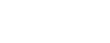Bolle Logo