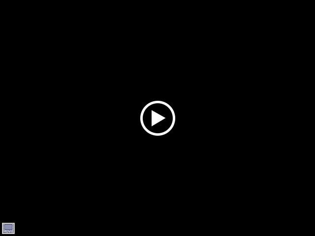 SNV33160.AVI