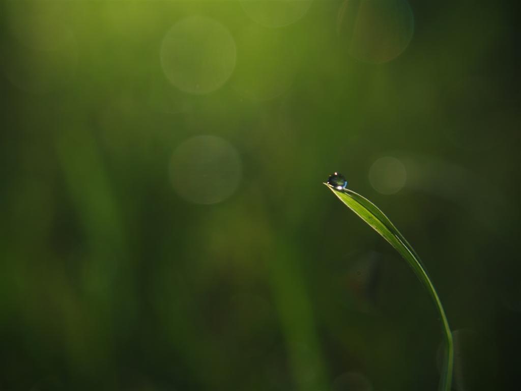 [Beautiful droplet[3].jpg]