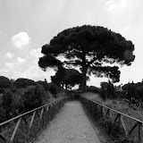L1050103.JPG