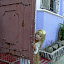 L1130493.JPG