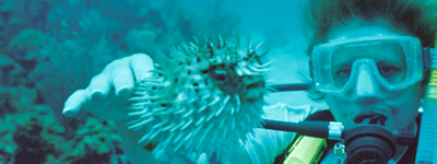 Learn to Dive in Belize