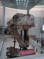 _0013750.JPG