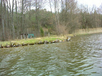 DSC01194.JPG Photo
