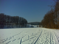 DSC03342.JPG Photo