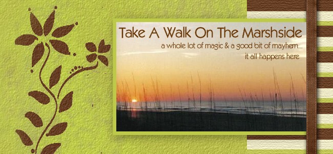 Take a Walk on The Marshside