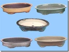 oval oval
