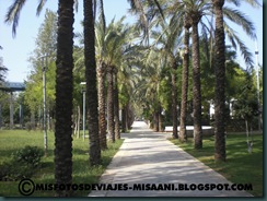 Parque
