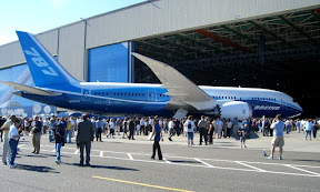 The Boeing 787 or Dreamliner
