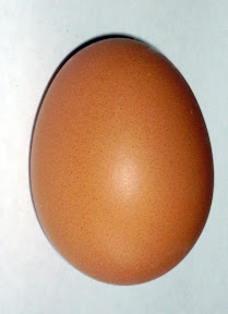 Egg