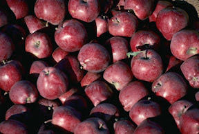Red Delicious