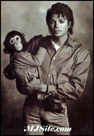 mjbubbles