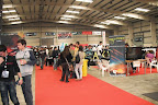 DSCF0729.JPG