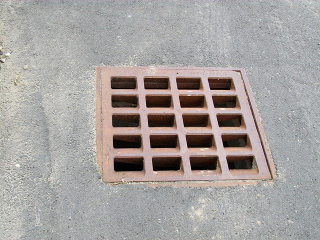 [201008010942.jpg]