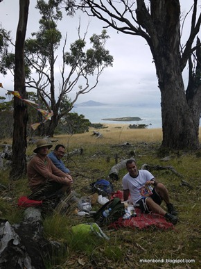 Borthday picnic