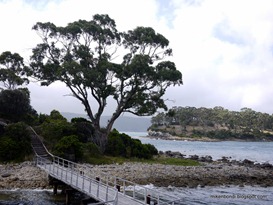island in the bay