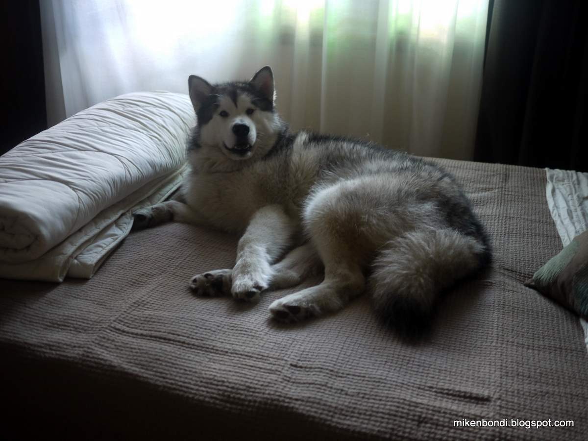 [P1000158[1].jpg]