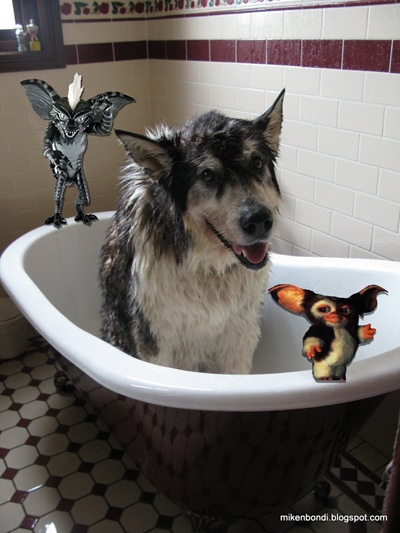 IMG_0691 gremlins