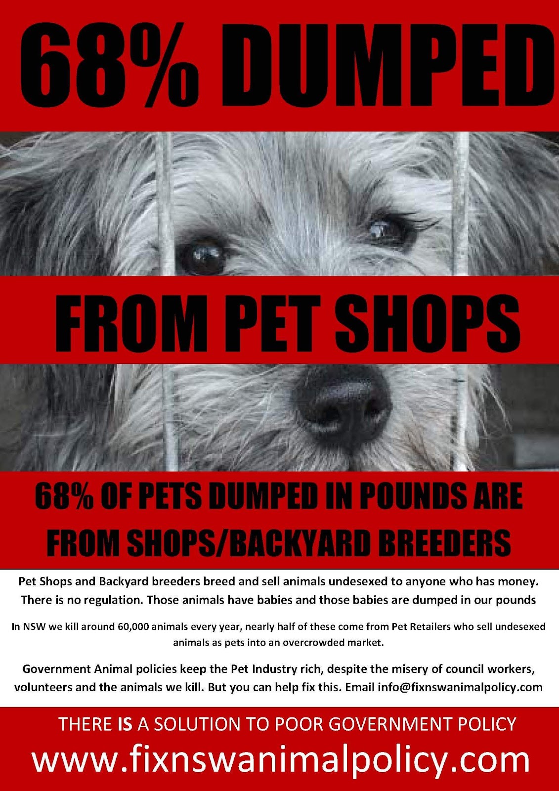 [68 percent pet shop[2].jpg]