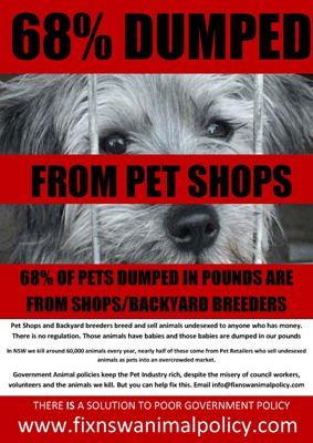68 percent pet shop
