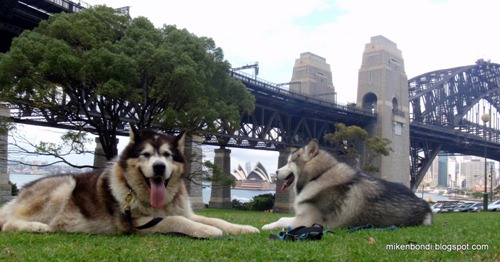Sydney Harbour Bridge & Opera House