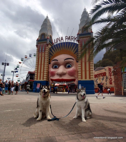 Luna Park