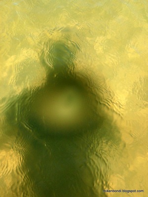 P3120052
