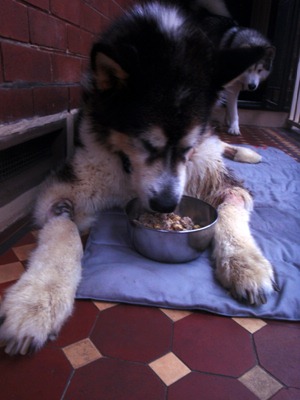 First bowl of food