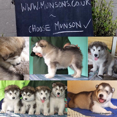 First 8 weeks