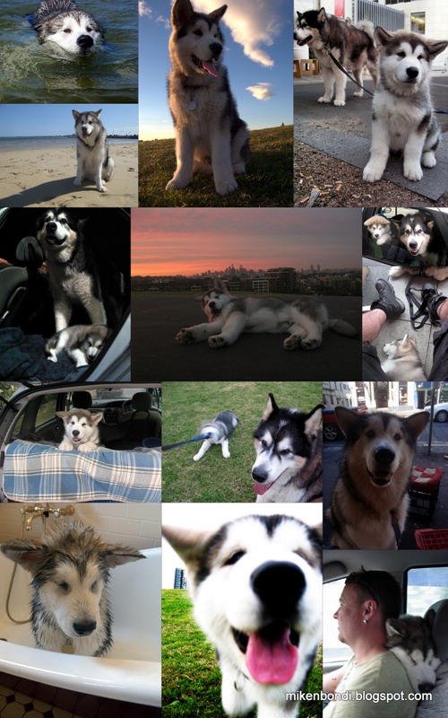 Months 2-12