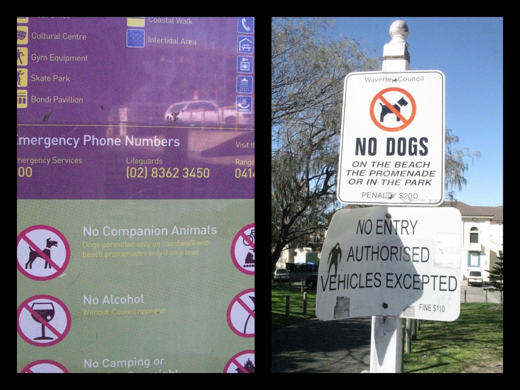 [20090823 Bondi Beach + Sydney Park-1[4].jpg]