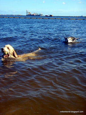 Teddy and Munson