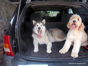 Munson & Teddy