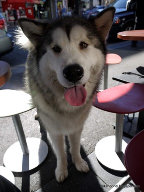 I'm getting an ice cream!?!?!