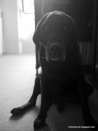 Buster #1