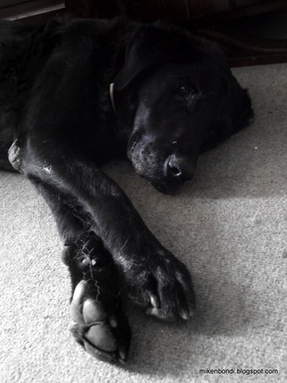 Buster #2