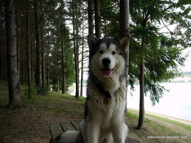 Munson - Lac de la Gimone