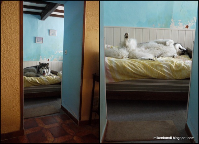 Munson's lie-in