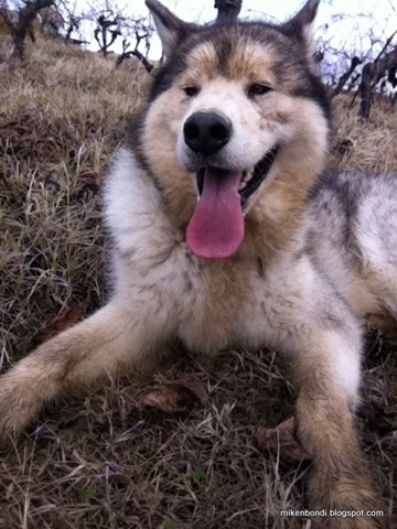 what rabbit hole?