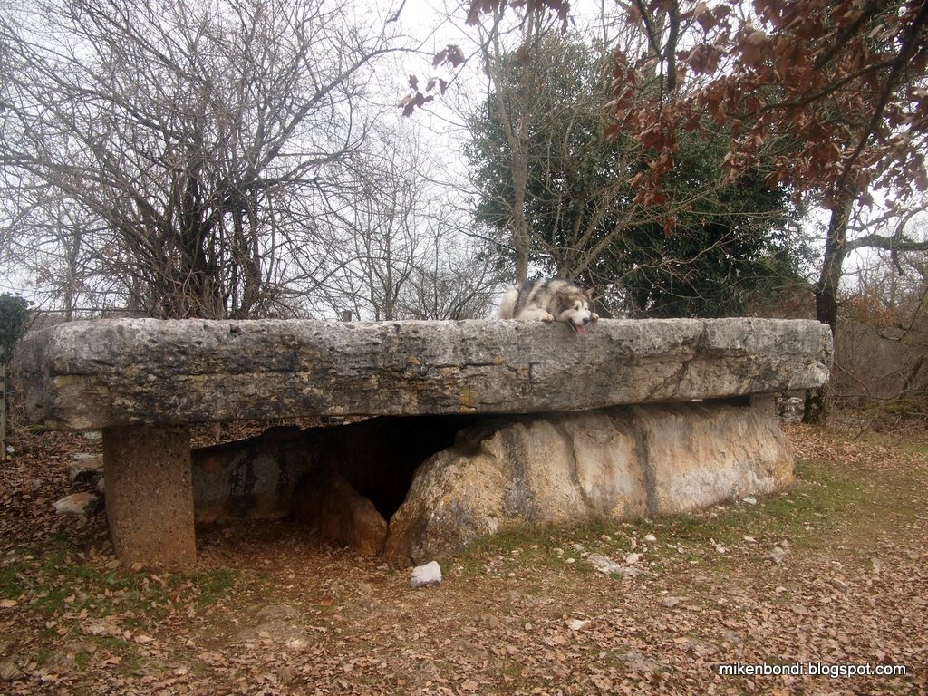 [P1011933[5].jpg]