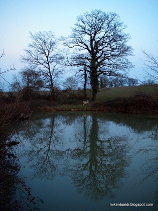 P3042601